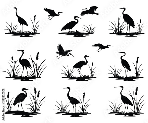 Heron birds in wetlands silhouette set.