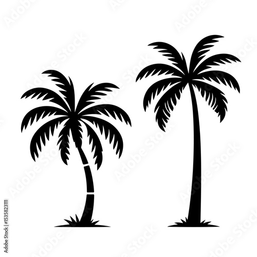 Palm Tree Silhouette