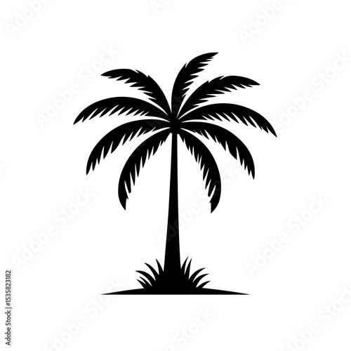 Palm Tree Silhouette