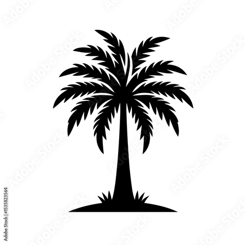 Palm Tree Silhouette