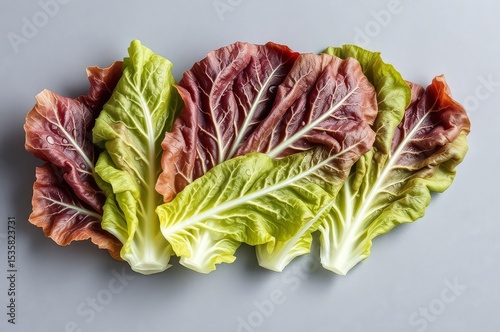 Fresh iceberg lettuce with droplets