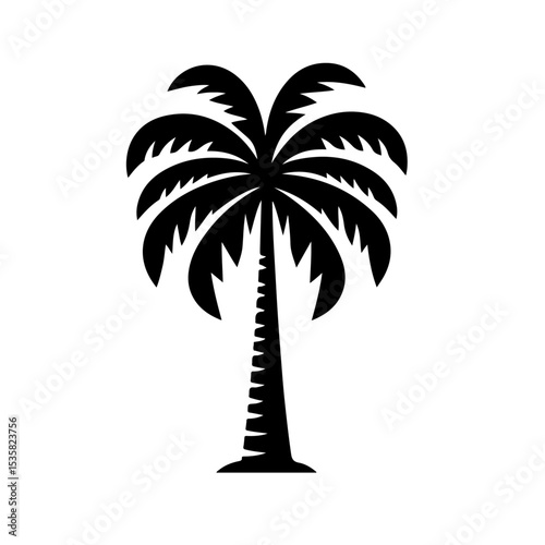 Palm Tree Silhouette
