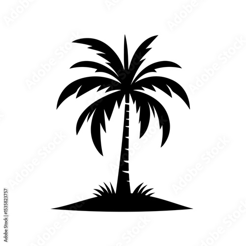 Palm Tree Silhouette