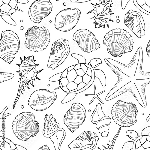 Line drawing of seashells, turtle and starfish on white background. Seamless vector pattern.	