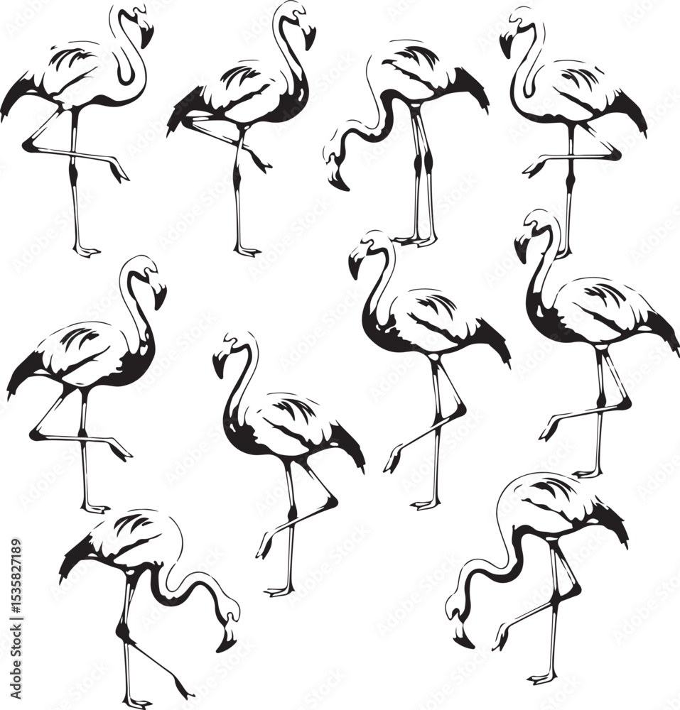 Obraz premium Flamingo bird design line drawing
