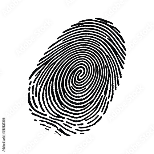 Fingerprint Isolated on White for ID Verification and Tech Themes