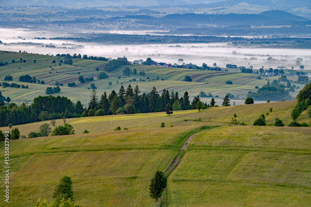 Fototapeta premium Orawa