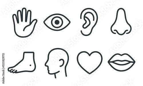 Body parts linear icons: hand, eye, ear, nose, foot, head, heart, mouth.