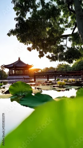 Scenic view of pond with lotus leaves and a pagoda, bathed in sunlight at dusk, creating a serene and peaceful atmosphere.