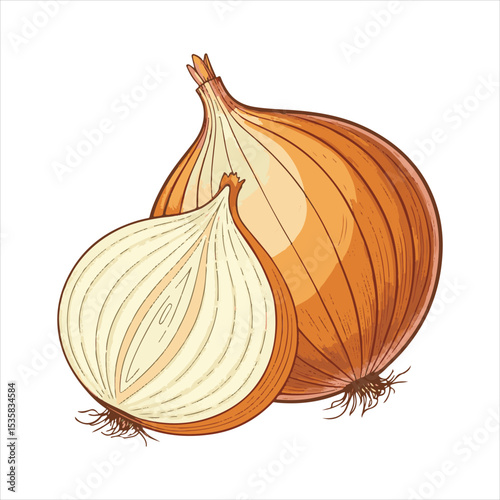 Red onion with two cut sections.