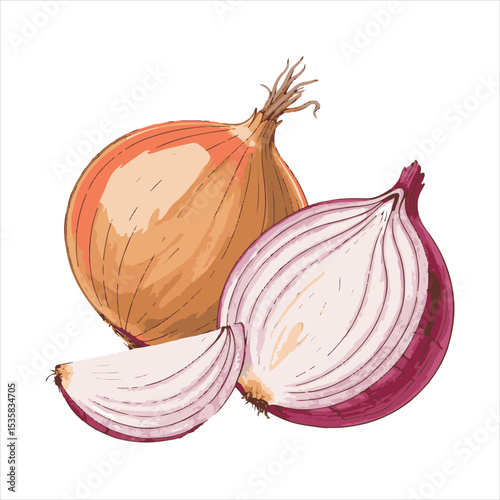 Red onion with two cut sections.