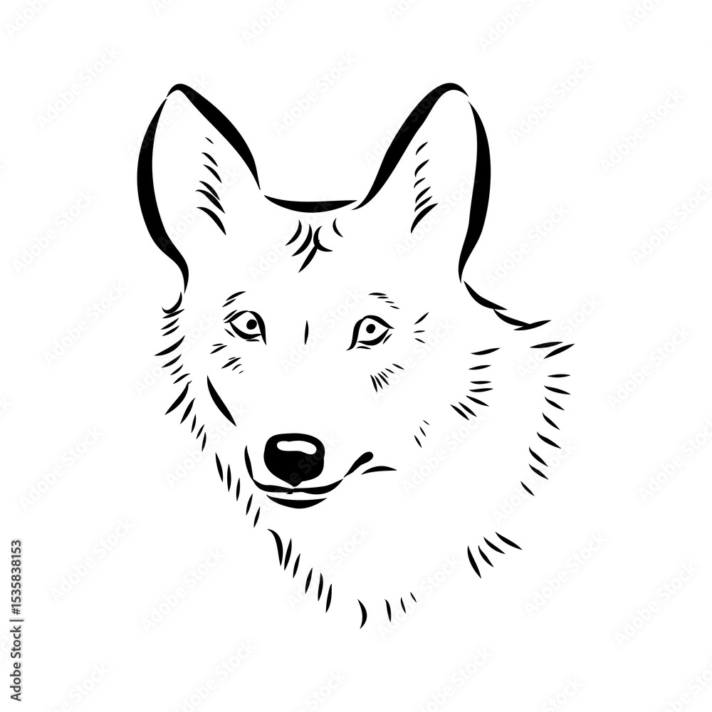 Obraz premium wolf vector sketch