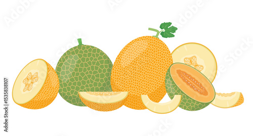 Fresh yellow and green Melon fruits and pieces. Organic melons for juice, smoothie or vitamin healthy food. Vector illustration isolated on white background.