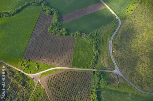 Winding roads through fields with sunrays, drone aerial view.
