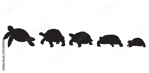 Set of turtle silhouette vector. silhouettes of animals vector