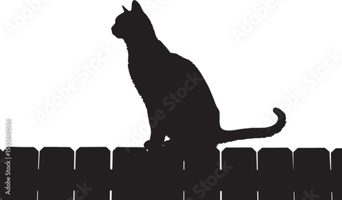 Black Cat on a Fence icon vector illustration