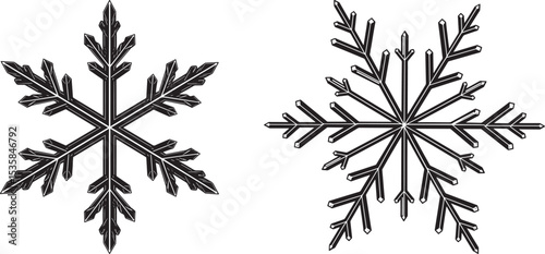 Snowflakes and Ornaments icon vector illustration