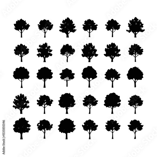 black silhouettes of trees