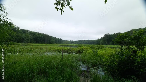 Pocahontas state park