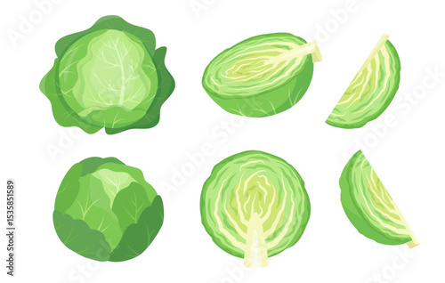 Green Cabbage icon set. Whole and cutted fresh vegetable. Green leaves farm plant cabbage and pieces. Organic healthy vegetarian food. Vector illustration isolated on white background.