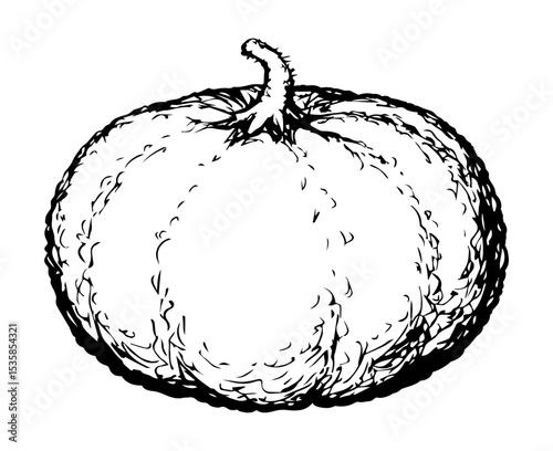 Big yellow pumpkin. Vector drawing