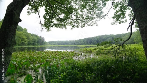 Pocahontas state park