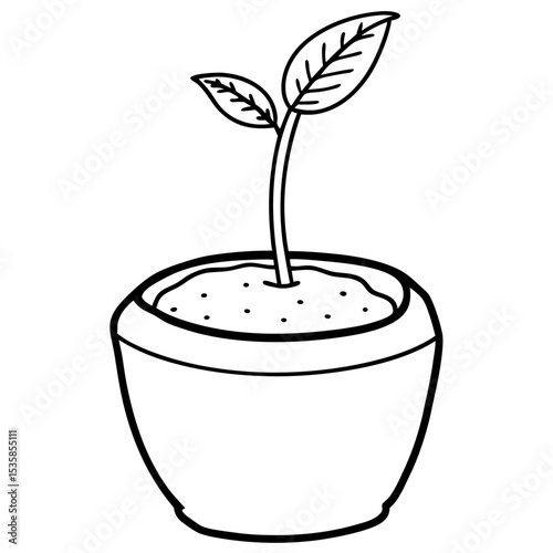 plant in pot
