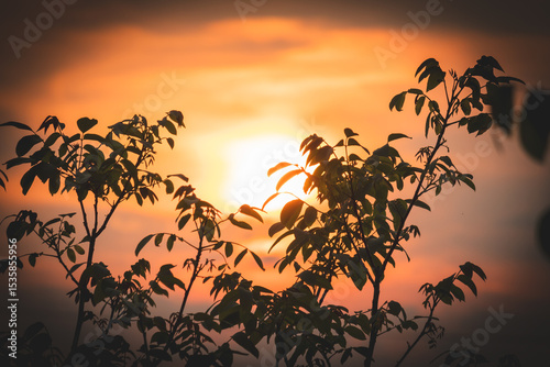 Colorful sunset on a June summer day in the countryside.