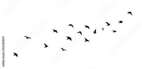Flying birds silhouette flock. hand drawing. Not AI. Vector illustration.