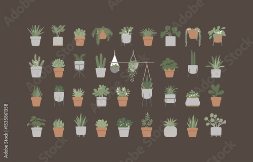Collection of diverse houseplants in various pots and planters for home decor