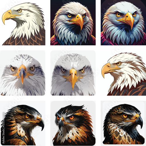 Majestic Eagle Head Illustration – Fierce Bird of Prey Art in Detail set
