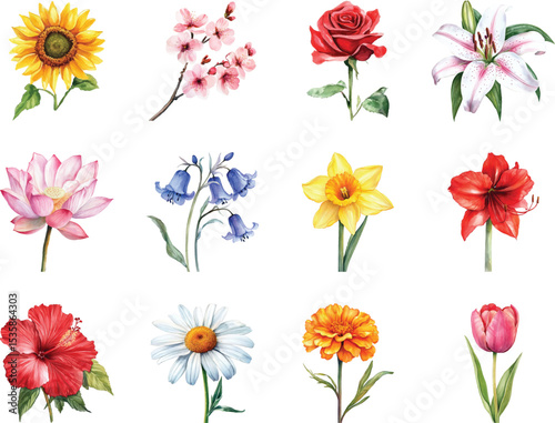 Watercolor Floral Collection A Variety of Beautiful Flowers