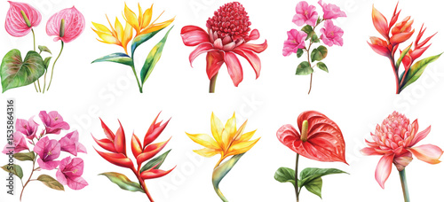 Watercolor Tropical Flower Collection set
