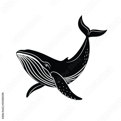 Stylized Black Whale Illustration Vector | Detailed Marine Mammal Silhouette | Ocean Life Animal Graphic