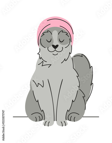 Cute cat enjoying spa procedure