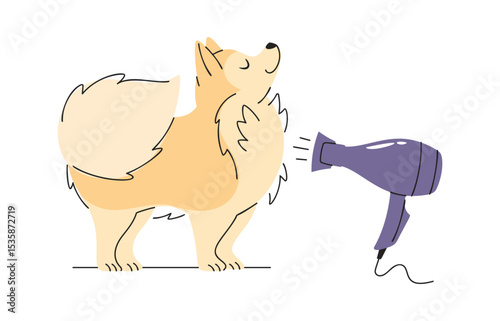 Cute dog drying wool cartoon
