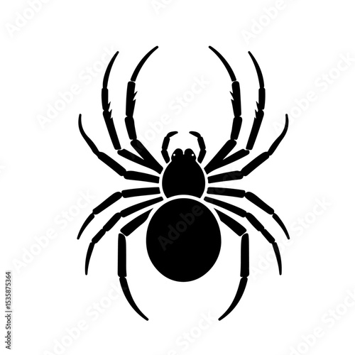  spider silhouette 