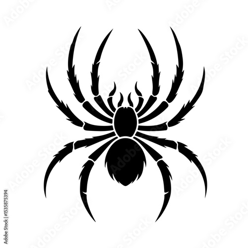  spider silhouette 