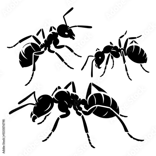 silhouette of an ant, ant silhouette 