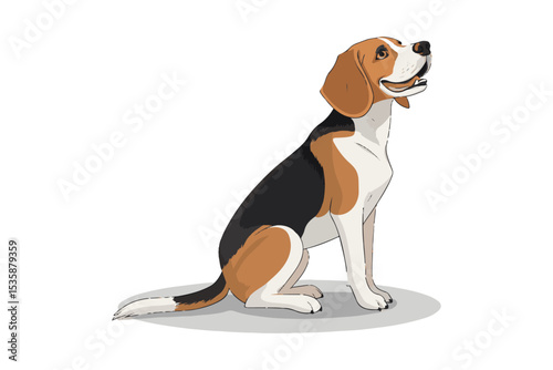Beagle dog sitting on white background in studio portrait style