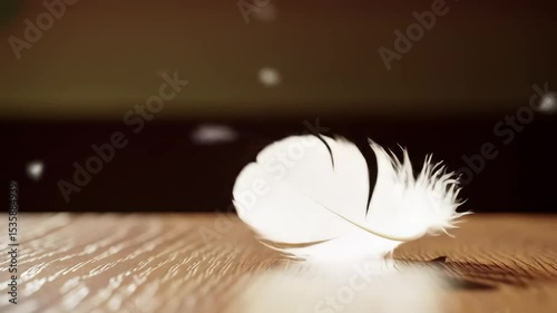 Delicate white feather gently swaying on dark wood with soft ambient light