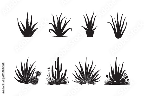 Silhouette Set of Aloe Vera and Cactus Plants Desert Succulent Vector Illustrations