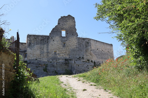 Le château du Marquis de Sade, château de Lacoste, vue de l'extérieur, village typique de Lacoste, département du Vaucluse, France