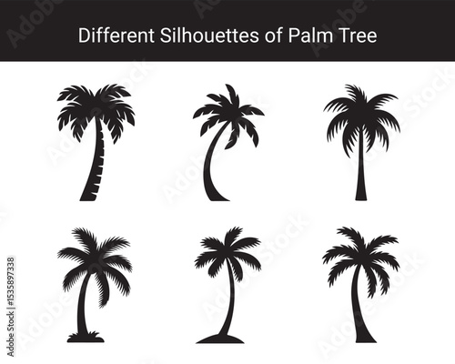 Set of Different Palm Tree Silhouettes – Tropical Coconut Tree Vector Icons Collection