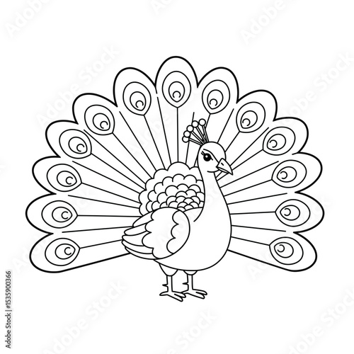 Peacock illustration with detailed feathers in black and white  