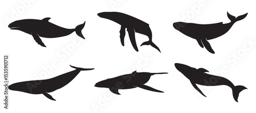set of dolphin silhouette vectors. Dolphin Silhouette Vector
