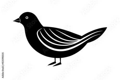 vector illustration of a bird