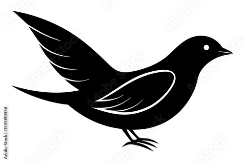 Simple Bird Shape Drawing – Easy Step-by-Step Guide for Beginners