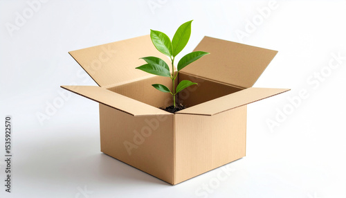 A hopeful and symbolic perspective shot of a vibrant green plant with several fresh leaves growing out of a plain, open brown cardboard box.