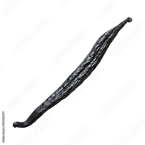 Dried Whole Vanilla Bean Pod with Rich Brown Texture Isolated on Transparent Background, png
